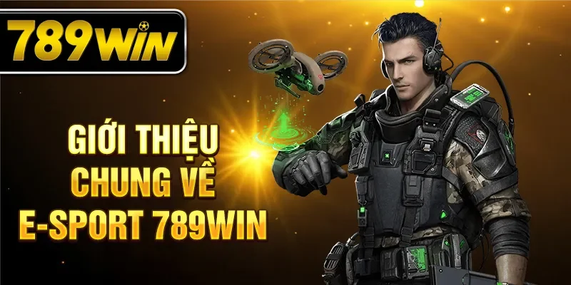Giới thiệu chung về E-Sport 789WIN Giới thiệu chung về E-Sport 789WIN