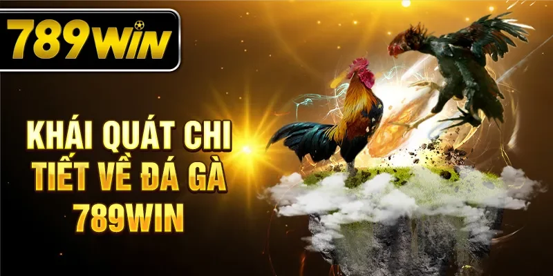 Khái quát chi tiết về đá gà 789WIN Khái quát chi tiết về đá gà 789WIN