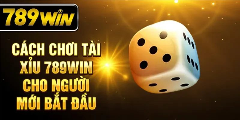 Cách chơi tài xỉu 789WIN cho người mới bắt đầu Cách chơi tài xỉu 789WIN cho người mới bắt đầu