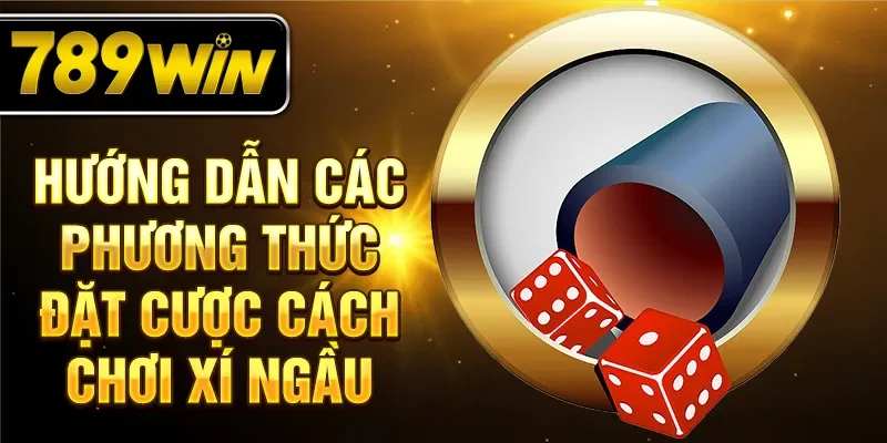 Hướng dẫn các phương thức đặt cược cách chơi xí ngầu Hướng dẫn các phương thức đặt cược cách chơi xí ngầu