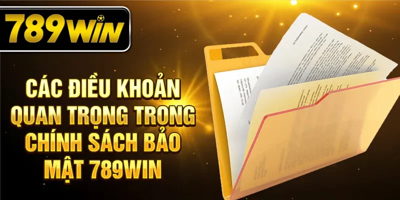 Các điều khoản quan trọng trong chính sách bảo mật 789WIN
