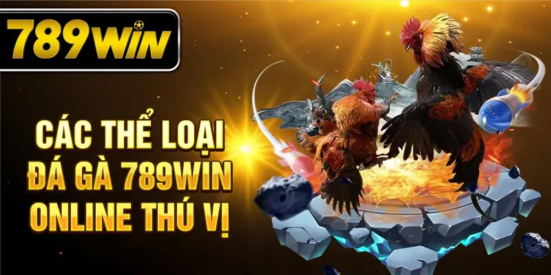 Các thể loại đá gà 789WIN online thú vị Các thể loại đá gà 789WIN online thú vị