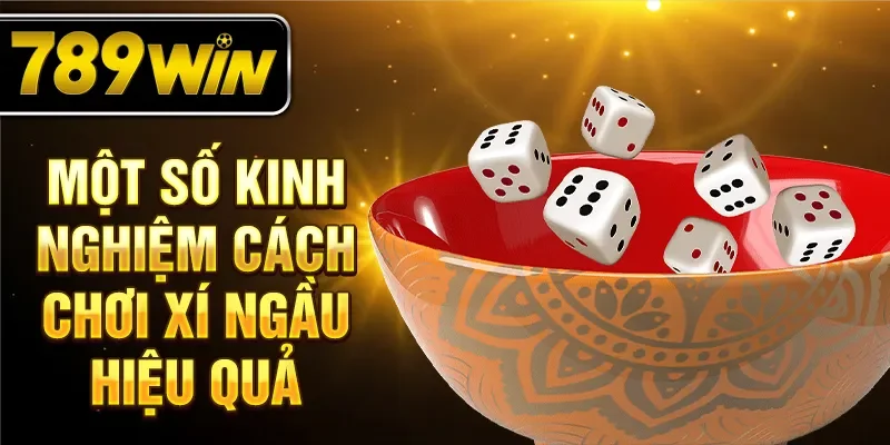 Một số kinh nghiệm cách chơi xí ngầu hiệu quả Một số kinh nghiệm cách chơi xí ngầu hiệu quả