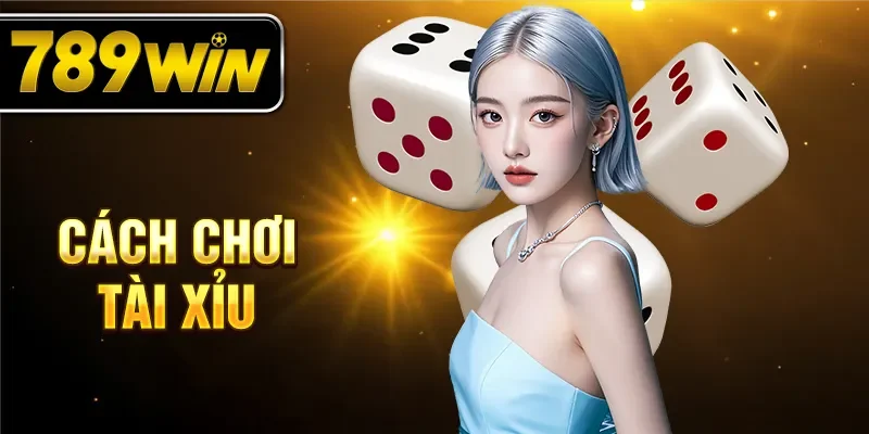 Cách chơi tài xỉu 789WIN hiểu quả cho người mới.
