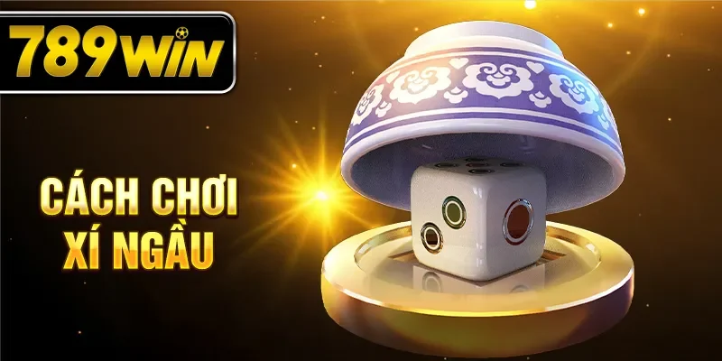 Cách chơi xí ngầu cho người mới